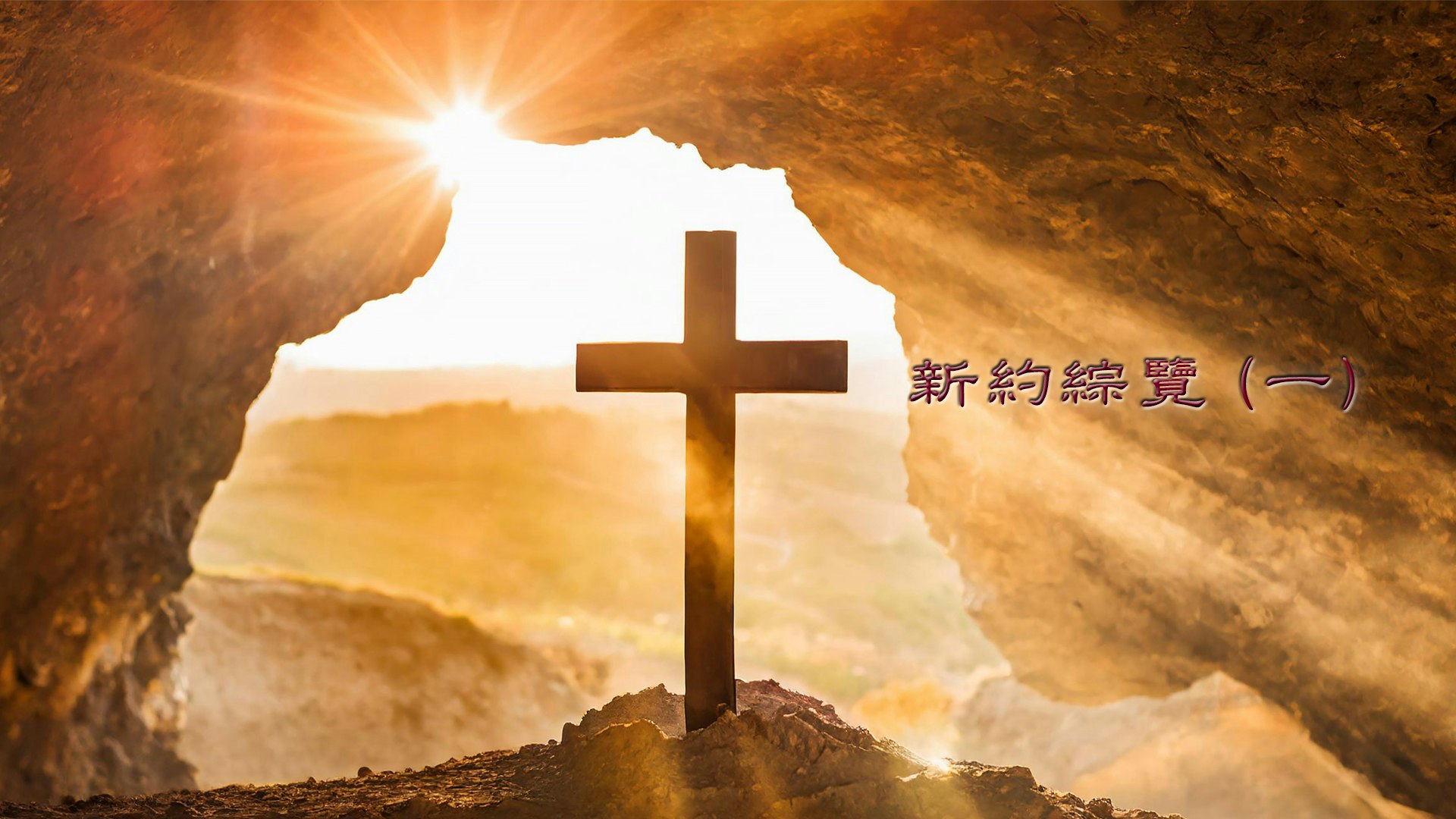 新約綜覽(I) course cover image