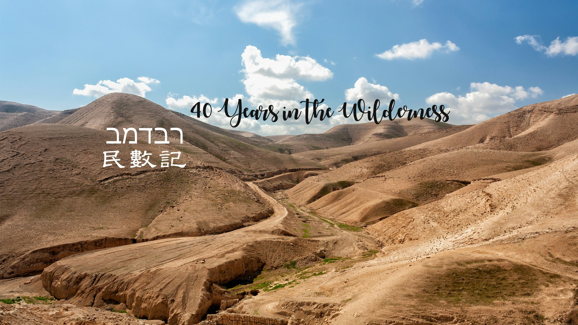 民數記 course cover image