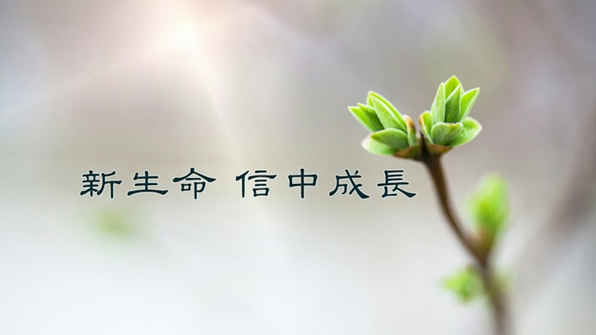 新生命 信中成長 course cover image